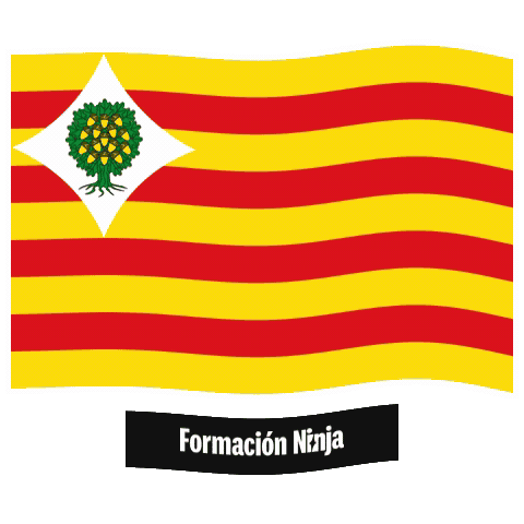 Flag Spain Sticker by Formación Ninja