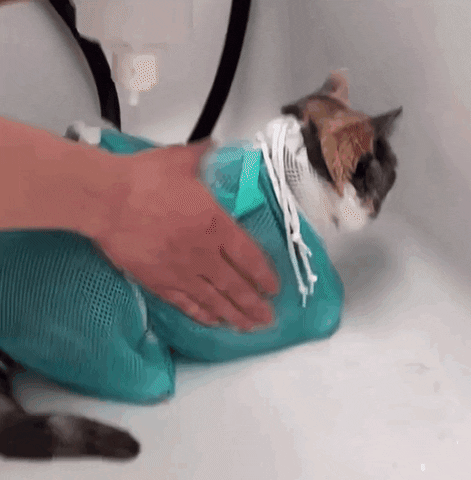 MULTI-FUNCTION PET GROOMING BATH BAG ™ – Manataa