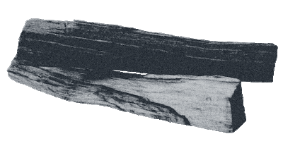 Sticker by ENVIRONMENTS DESIGN STUDIO