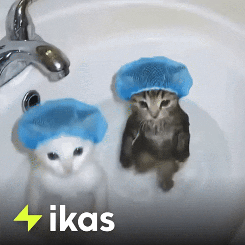 Black Cat Dancing GIF by ikas