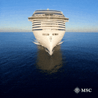 Travel Ocean GIF by MSC Cruises Official