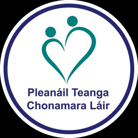 Pleanáil Teanga GIF by Muintearas Teo
