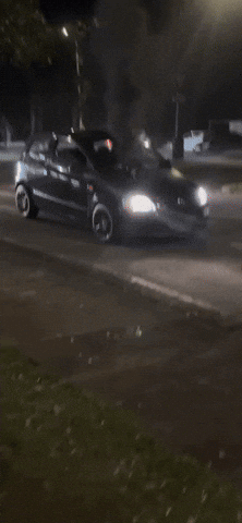 Fox GIF