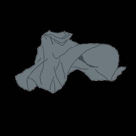 見域 Citilens GIF