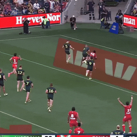 Nrl Tonga GIF