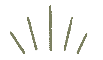 Kaitlyn Mari Photography Sticker