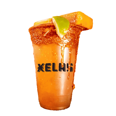 House of Xelas Sticker