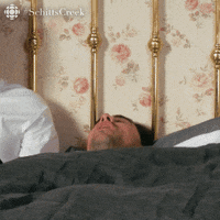 Oh My God Wow GIF by CBC