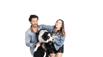 Lalo Gilling Sticker