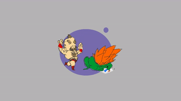Animation Streetfighter GIF