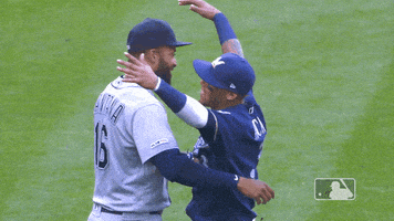 Regular Season Hug GIF by MLB