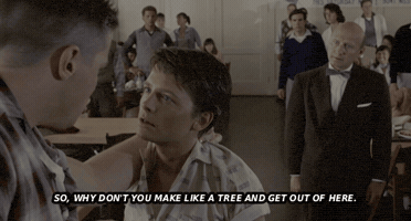 Back To The Future GIF