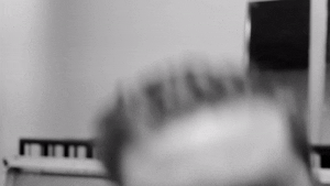 LØVEHEIST GIF