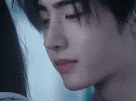 Xo Sunghoon GIF