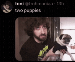 Fall Out Boy Dog GIF