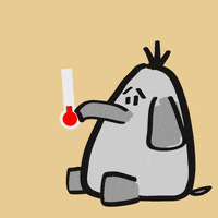 Koorts GIFs - Find & Share on GIPHY