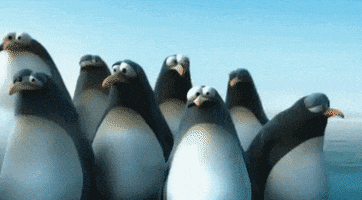 Ad gif. From the Flemish company De Lijn, a cluster of animated penguins stand on an ice sheet, and an orca bumps into the ice almost knocking them off, but the penguins scoot back toward the middle and stay afloat.