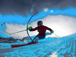 Snowsportsracing GIF