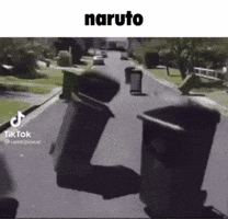 Naruto Trash GIF