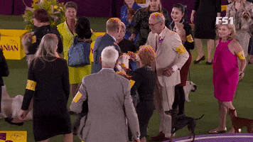 Gather Westminster Dog Show GIF by Westminster Kennel Club
