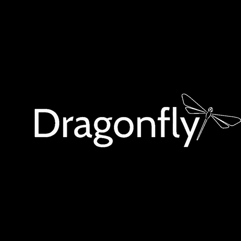Yoga Pole GIF by Dragonflybrand