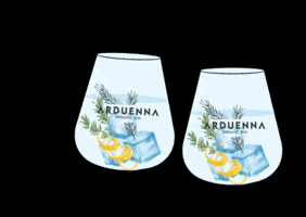 Cheers Glass GIF by Arduenna Gin