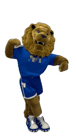 New York Hofstrau Sticker by Hofstra University