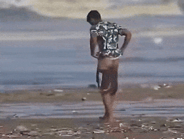 Beach India GIF