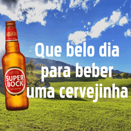 Super Bock Friends GIF by Live Content
