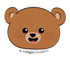colegiocruzeiro Sticker