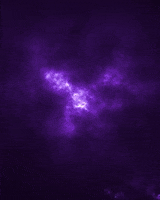 Kolkata Knight Riders Cricket GIF by Knight Riders Sports