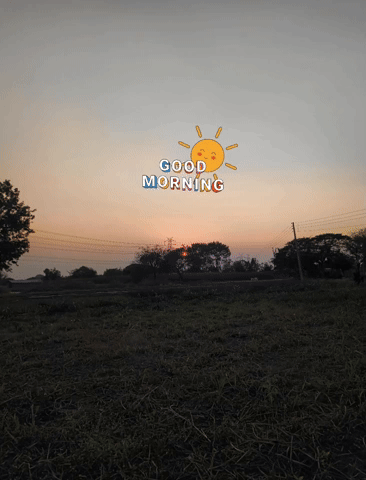 Good Morning GIF