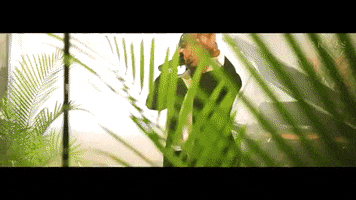 200.gif?cid=fc005b083617350c9f19784928b407ee092e125140a8195e&rid=200.gif&ct=g