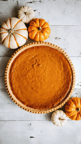 Pumpkin Wheel GIF by Discount Tire