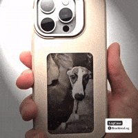 Animated GIF