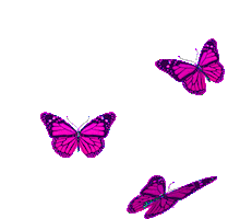 Pink Butterfly Sticker