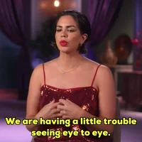 We Are Having A Little Trouble Seeing Eye To Eye GIF