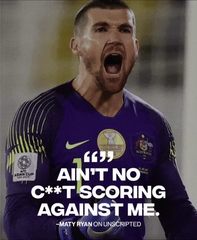 Fifa World Cup GIF
