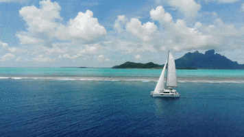 Tahiti GIF