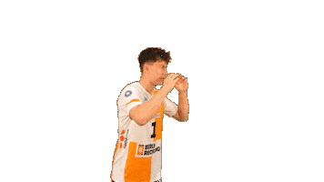 Volleyball Berlin Sticker by BR Volleys