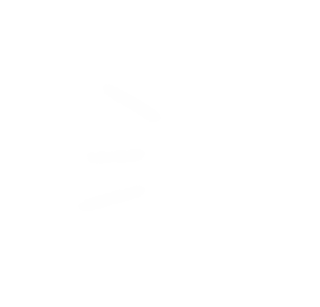 Animation