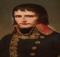 Rei Napoleon GIF