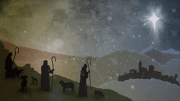 Christmaschawmia GIF