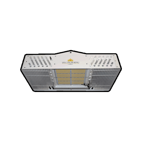 Spectrum King LED Sticker