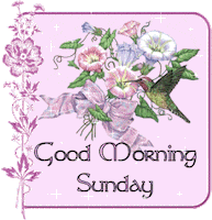 Sunday Morning Pink GIF