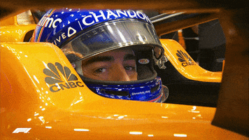 Fernando Alonso Hello GIF by Formula 1