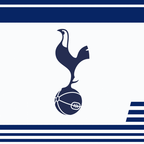 Tottenham Coys GIF