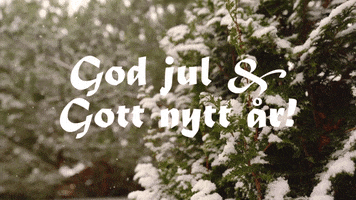 God Jul GIF by Coompanion Göteborgsregionen