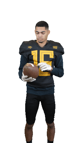 Léopards de Rouen - Football Américain Sticker