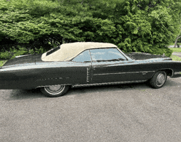 Michael Osullivan Hampton GIF